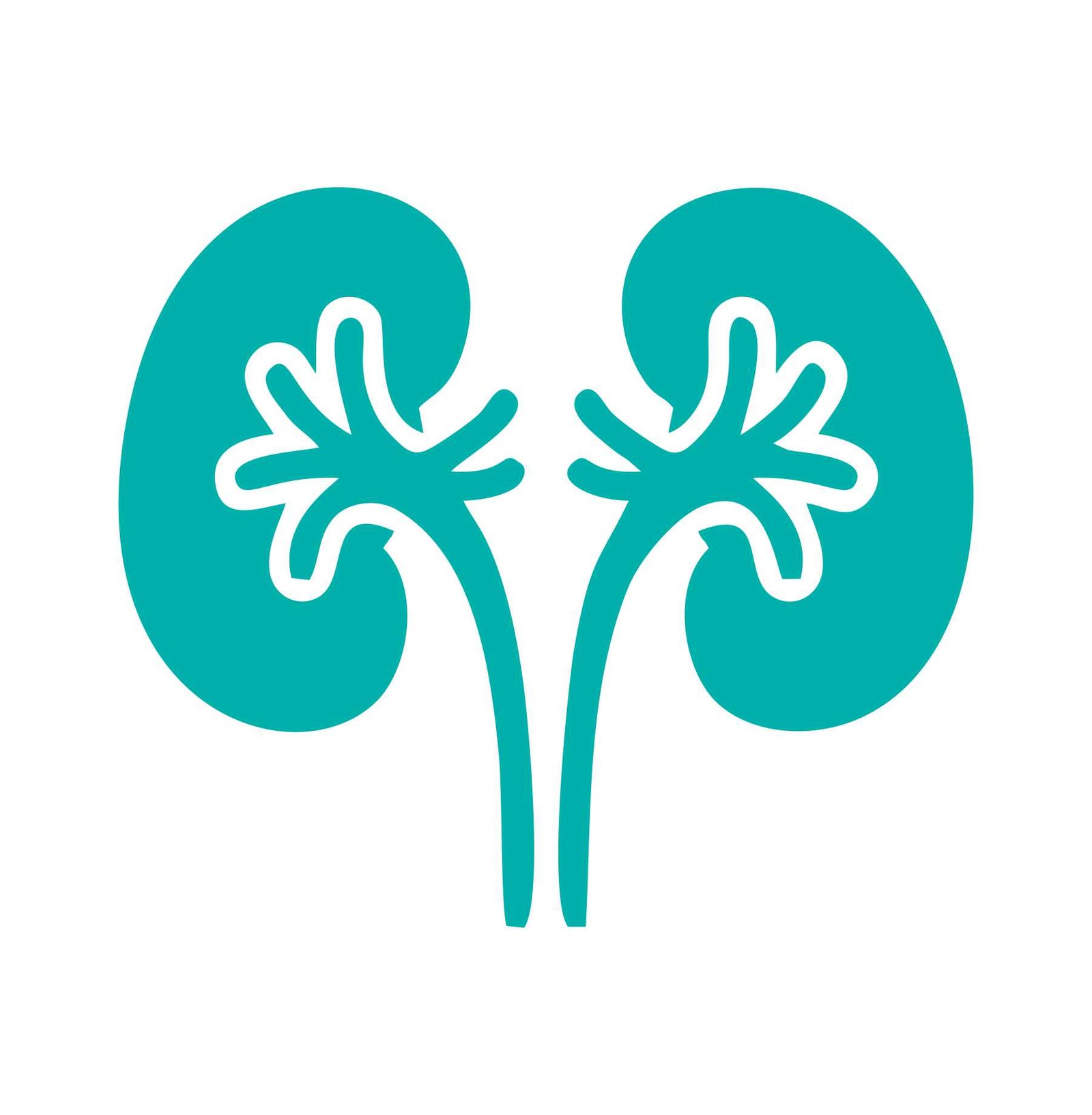 Nephrology